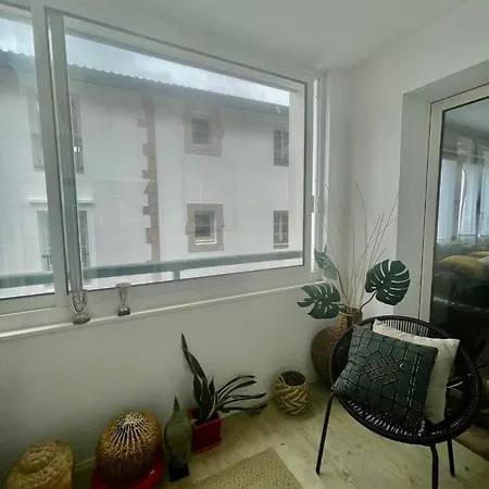 Grand T2 Plein Centre Historique Avec Ascenseur * Saint-Jean-de-Luz