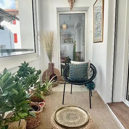 Apartament Grand T2 Plein Centre Historique Avec Ascenseur *