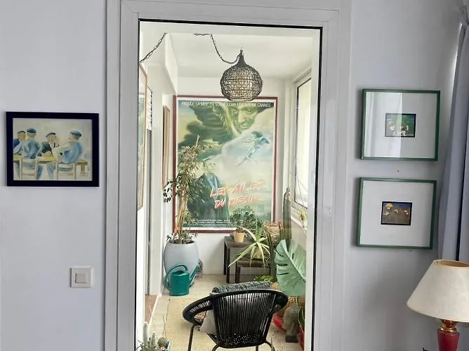 Grand T2 Plein Centre Historique Avec Ascenseur Daire