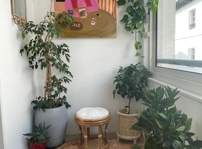 Apartmán Grand T2 Plein Centre Historique Avec Ascenseur Saint-Jean-de-Luz